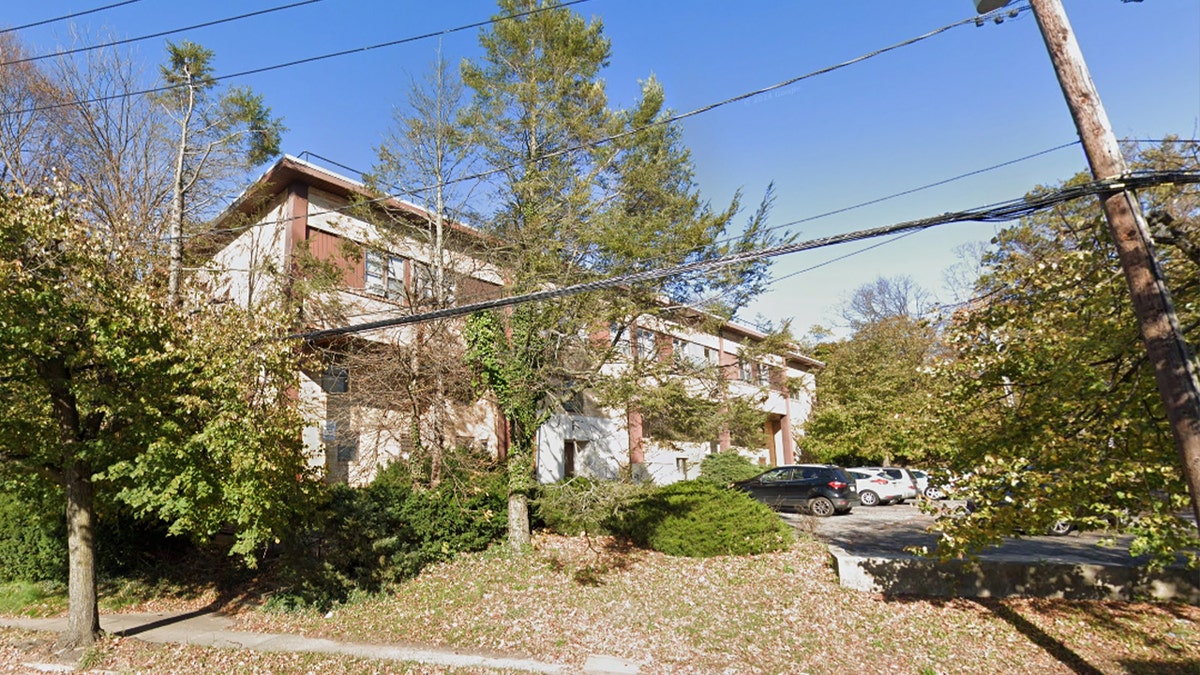 Apartment building partially hidden by trees and power lines.