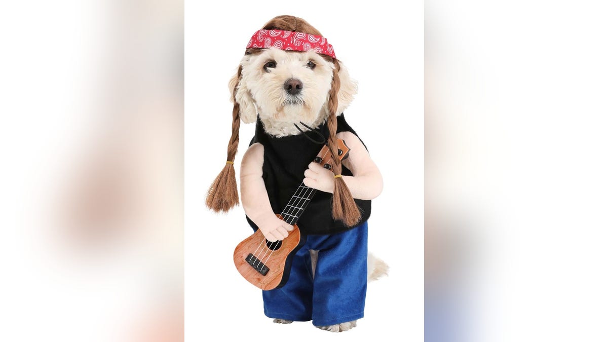 Tu perro podría ser uno de los mejores músicos que existen. 