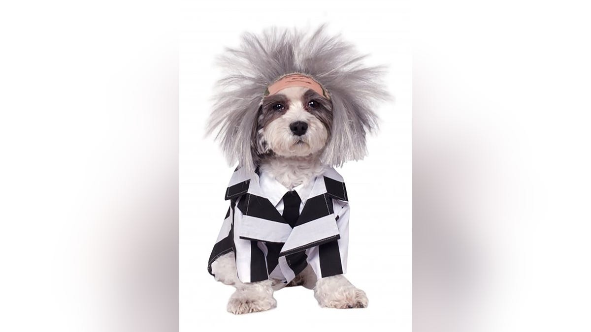 Don't say your pet's name three times while they're wearing this costume. 