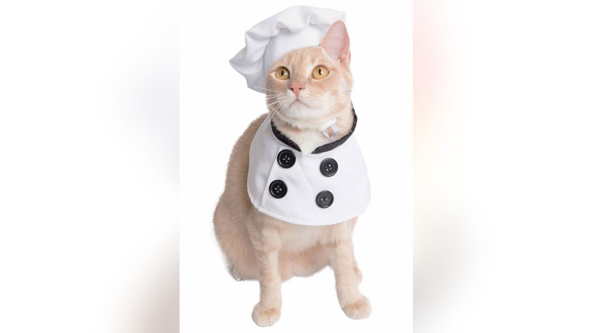 Your pet can become an adorable chef with this costume. 