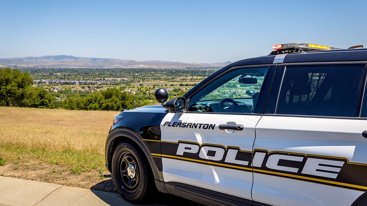 Furgoneta de policía