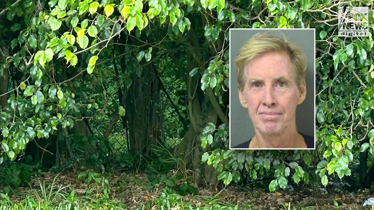 Ryan Routh's alleged hiding spot   successful  Florida adjacent   Trump play  course