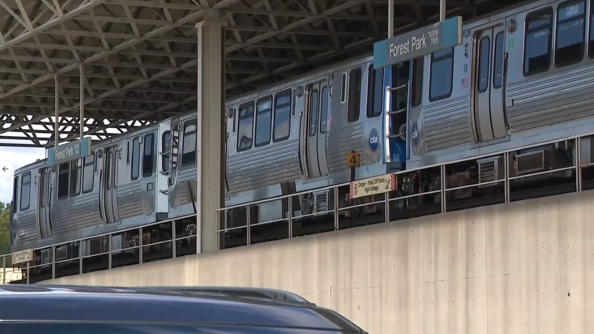 Trenes en la vía