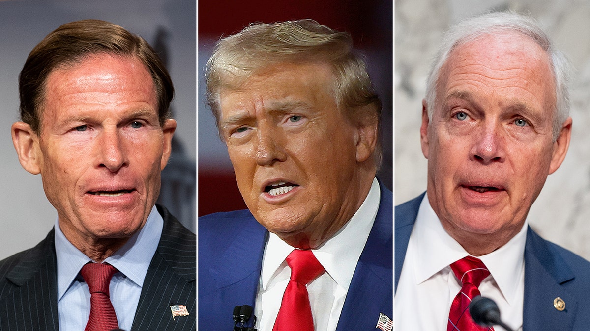 split photo of Senator Richard blumenthal/Donald Trump/Senator Ron Johnson