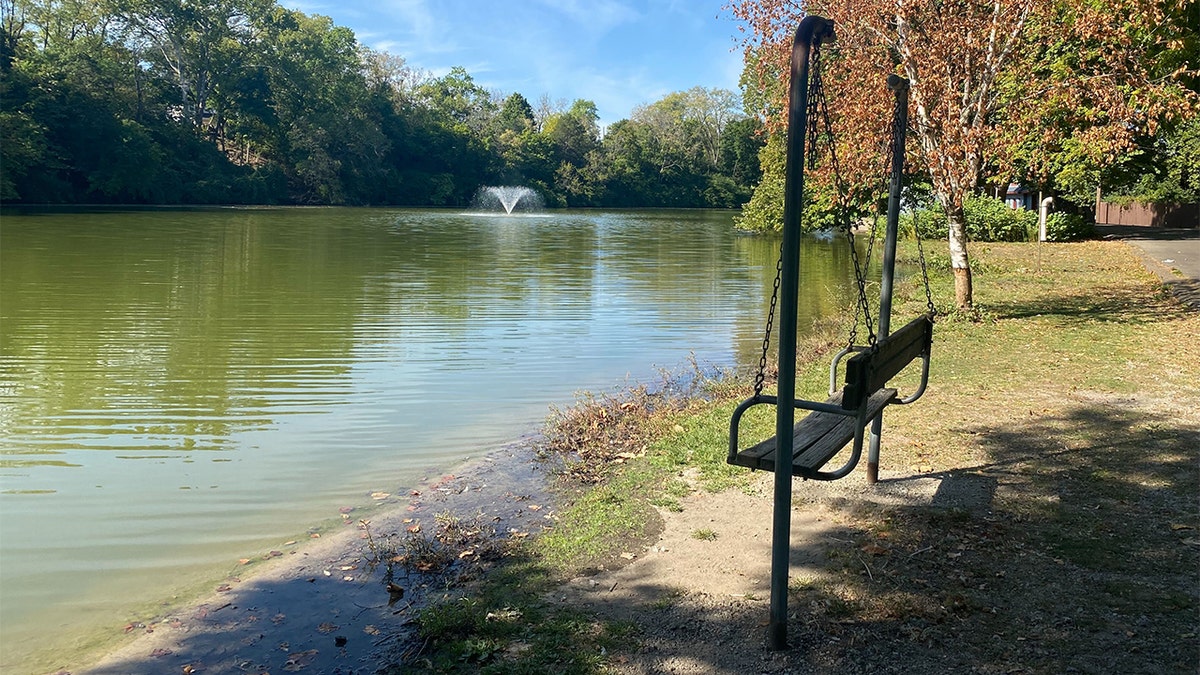 Foto sebuah danau di Snyder Park, Ohio.