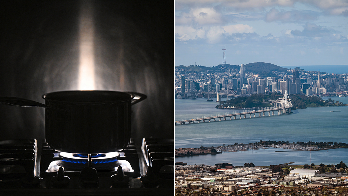 Gas stoves and city of Berkeley split image