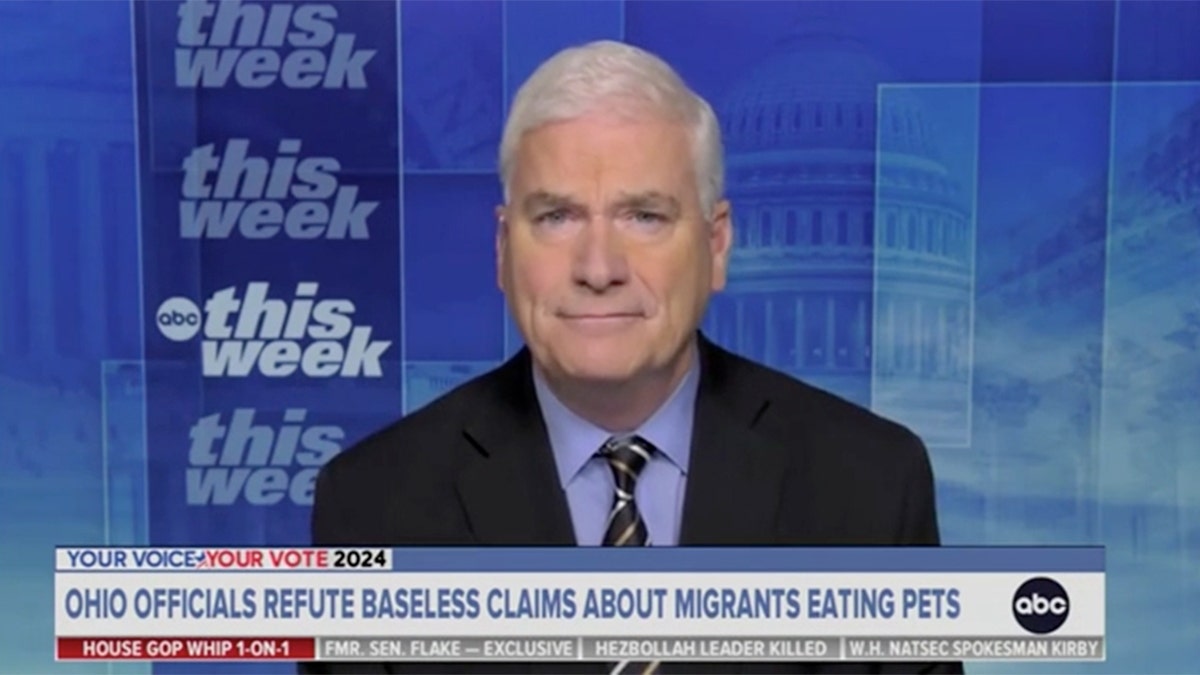 GOP rep clashes with ABC News host over recent Trump rhetoric: 'I think we should stick to the issues'  at george magazine