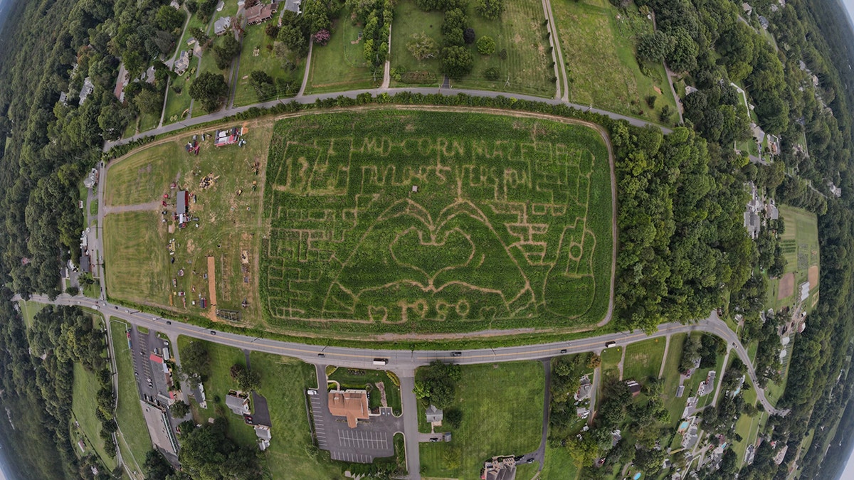 Carol Paul and her team were inspired by her son's best friend and her daughter-in-law to use Taylor Swift as the main theme for the Maryland Corn Maze.