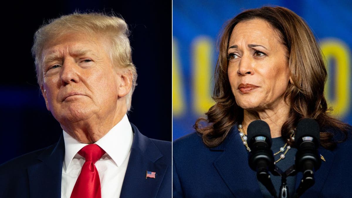 Trump and Harris divided side by side