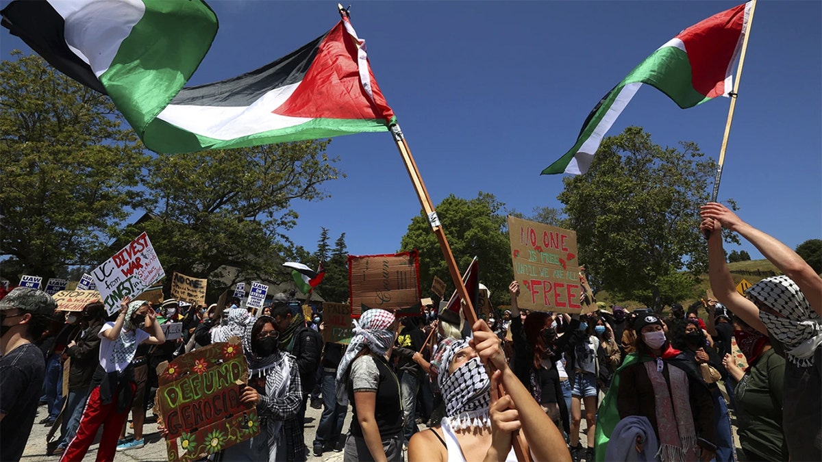 UCSC-protest-1