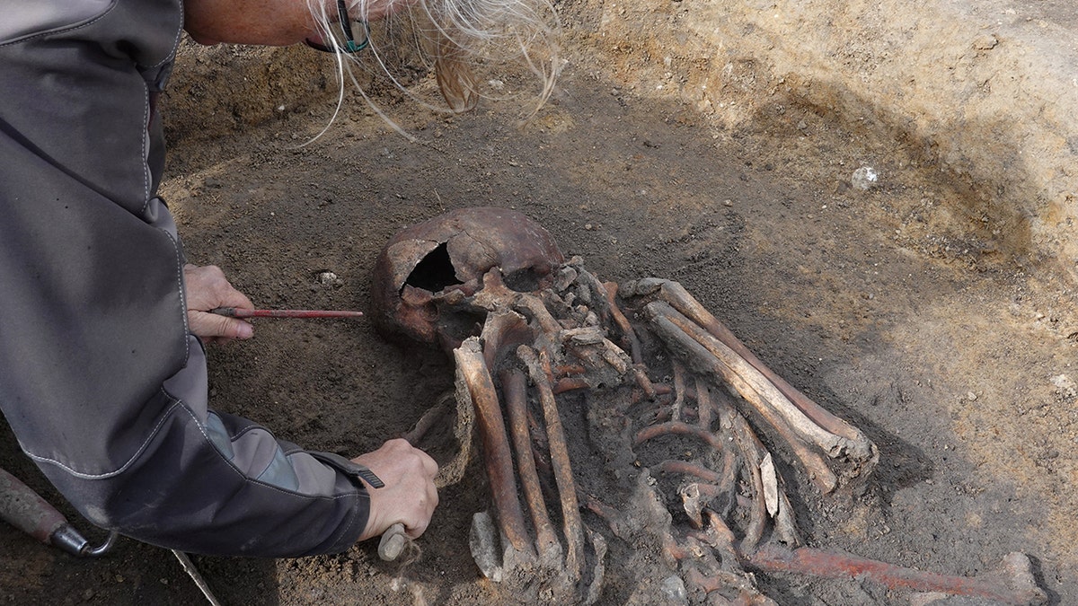 Dozens of ‘exceptionally well-preserved’ Viking skeletons unearthed in Denmark: ‘Truly unusual’  at george magazine