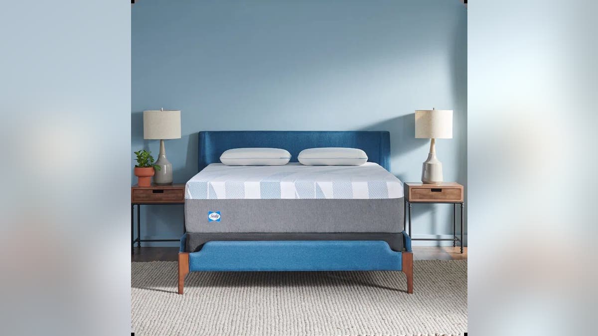 Try this Sealy mattress successful  a container  for a medium-firm option.