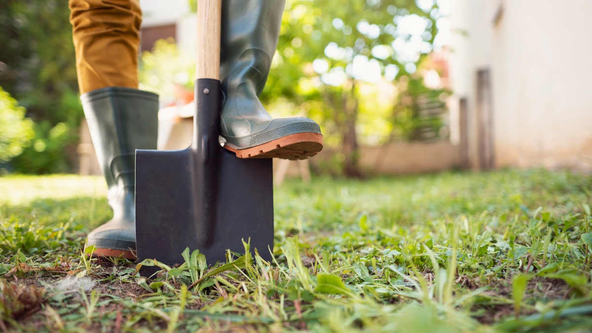 A person pushing shovel into ground with foot