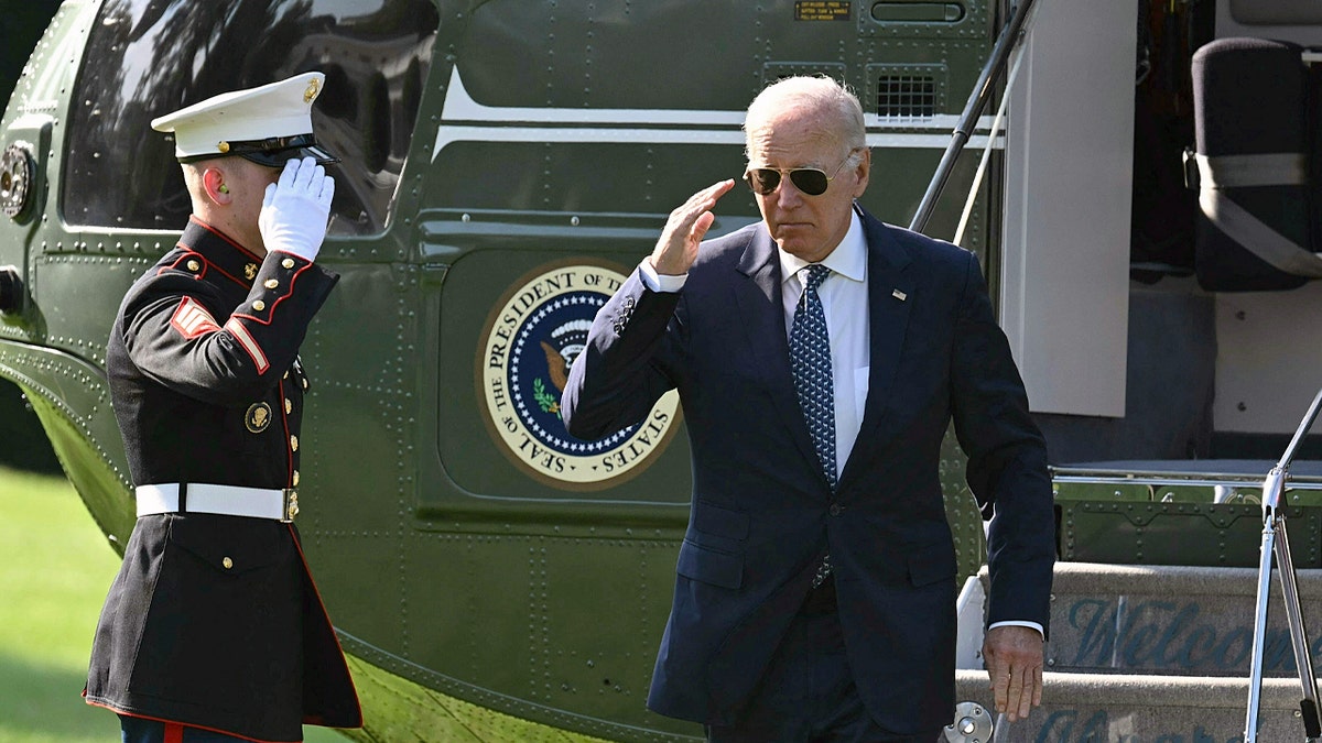 La decisión del presidente Biden de retirarse y apoyar a Harris ha animado a los votantes demócratas.