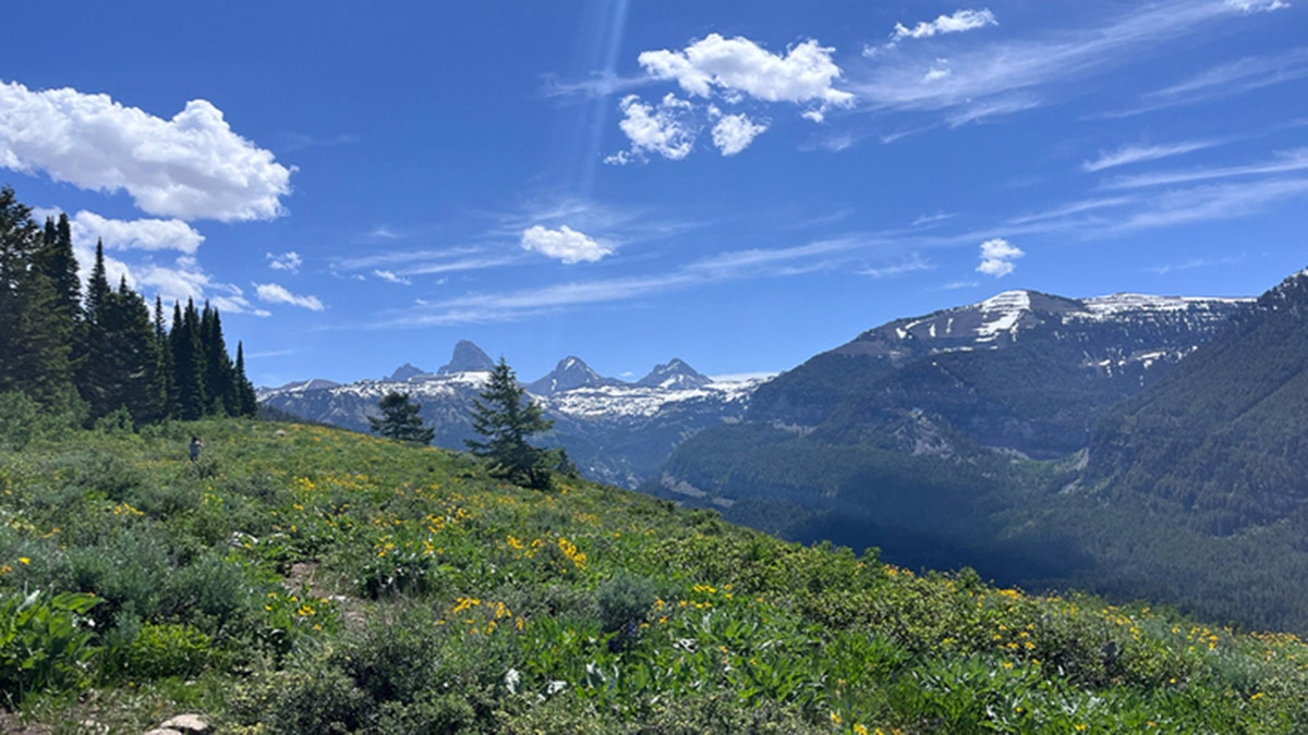 Bosque Nacional Caribou-Targhee