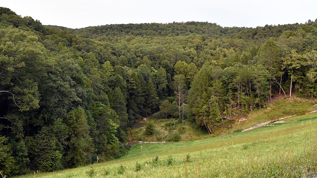 zona de búsqueda boscosa