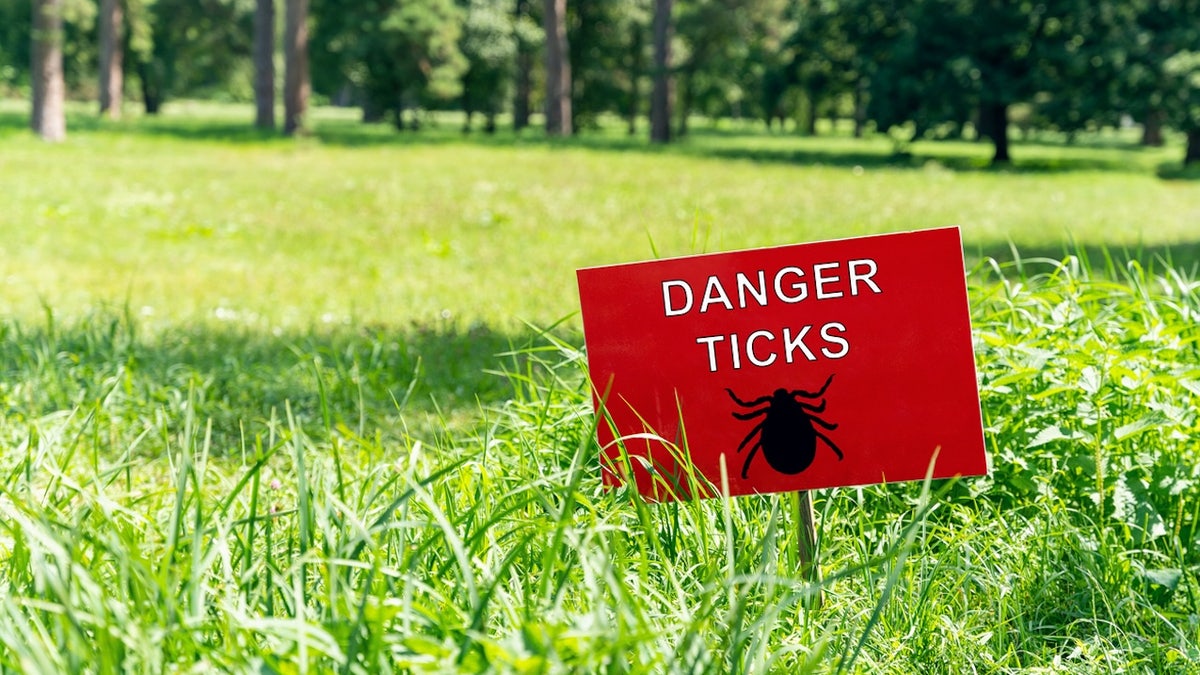 Danger of ticks