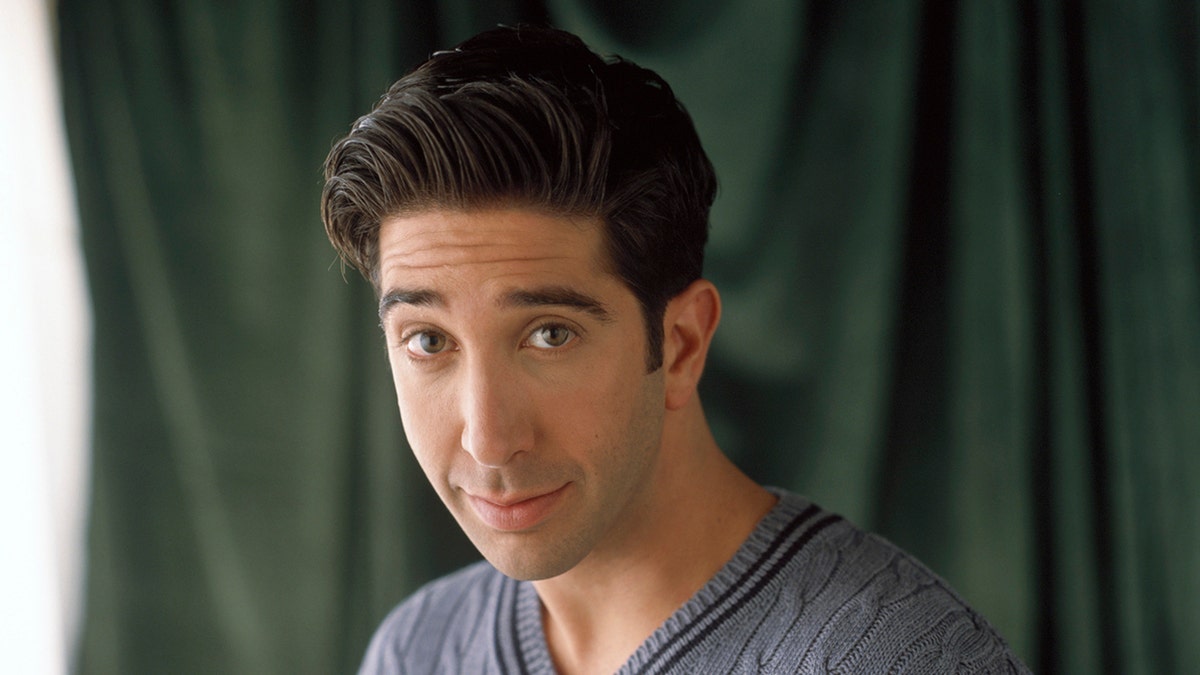 David Schwimmer in character as Ross Geller in 'Friends' wearing a blue/gray cableknit sweater