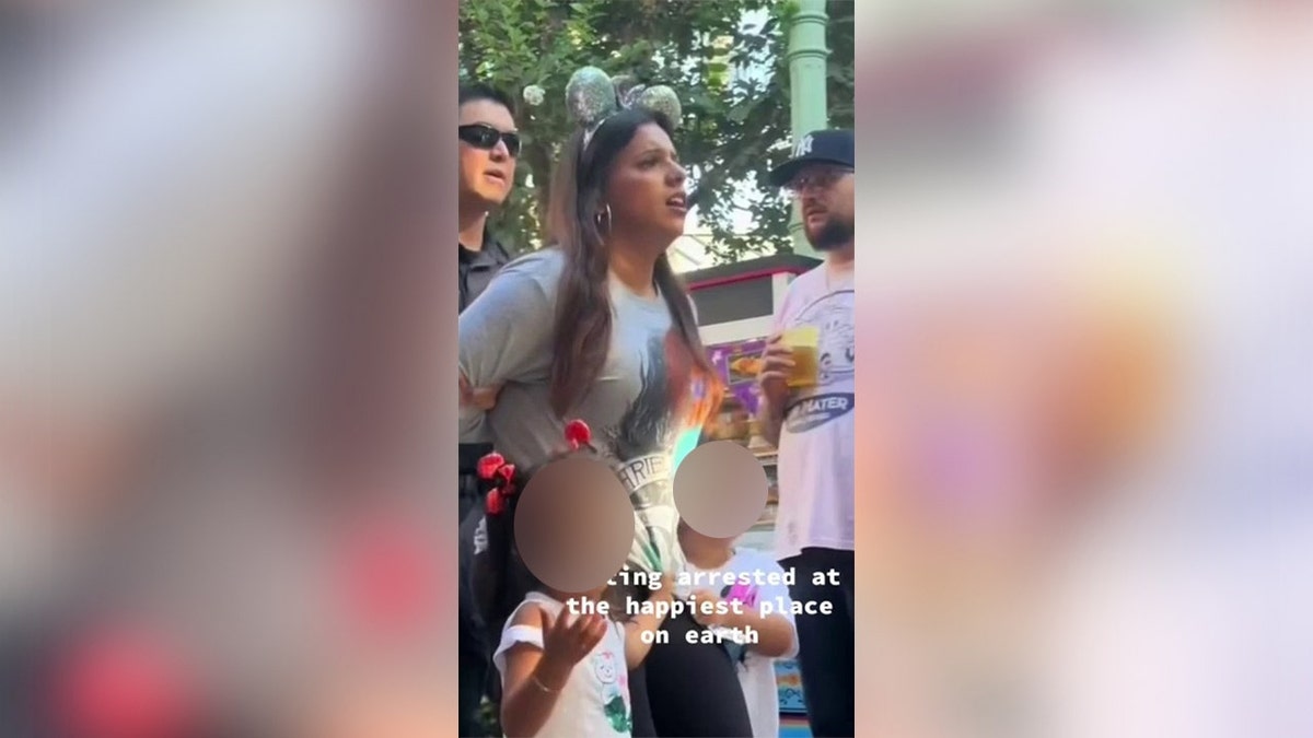 Detención de una mujer en Disneylandia