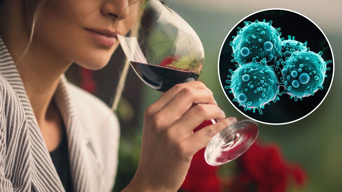 Ingesting alcohol is connected to 6 kinds of most cancers, professionals say: ‘It’s poisonous’