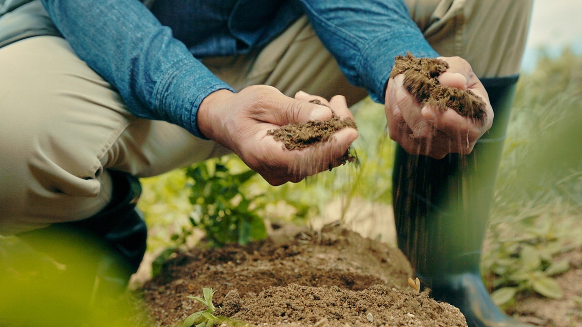 A close-up shot of a farmer with soil