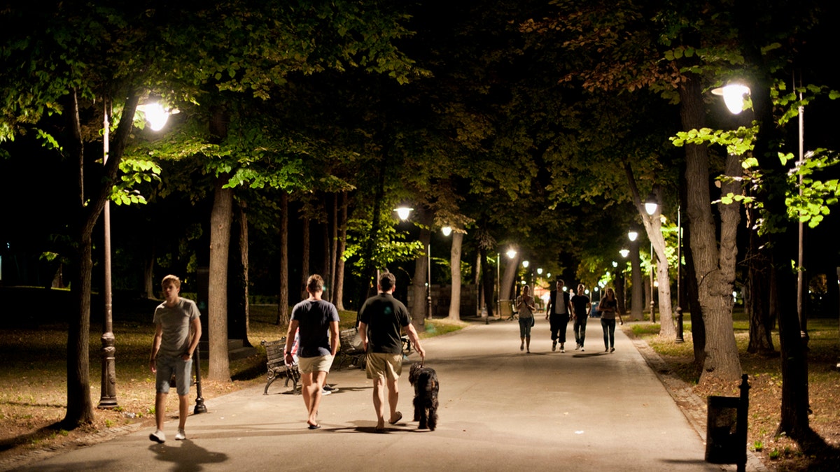 pasear por el parque de noche