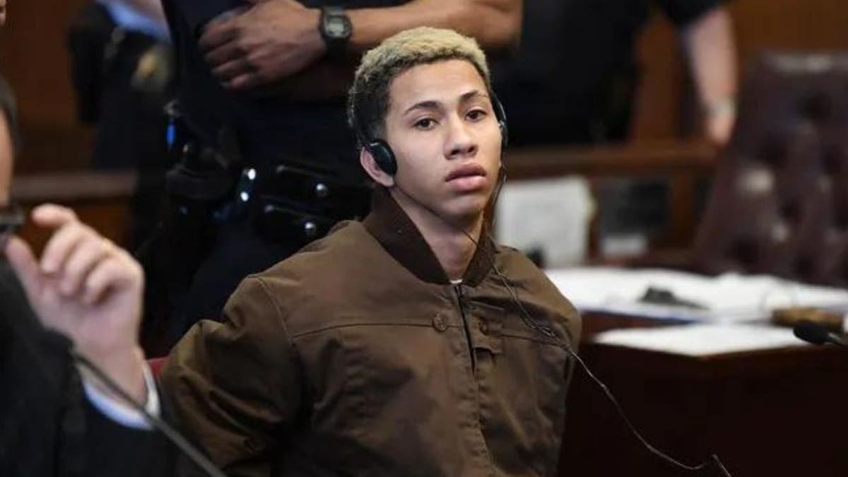 Darwin Gomez-Izquiel, 19, in a Manhattan criminal court.