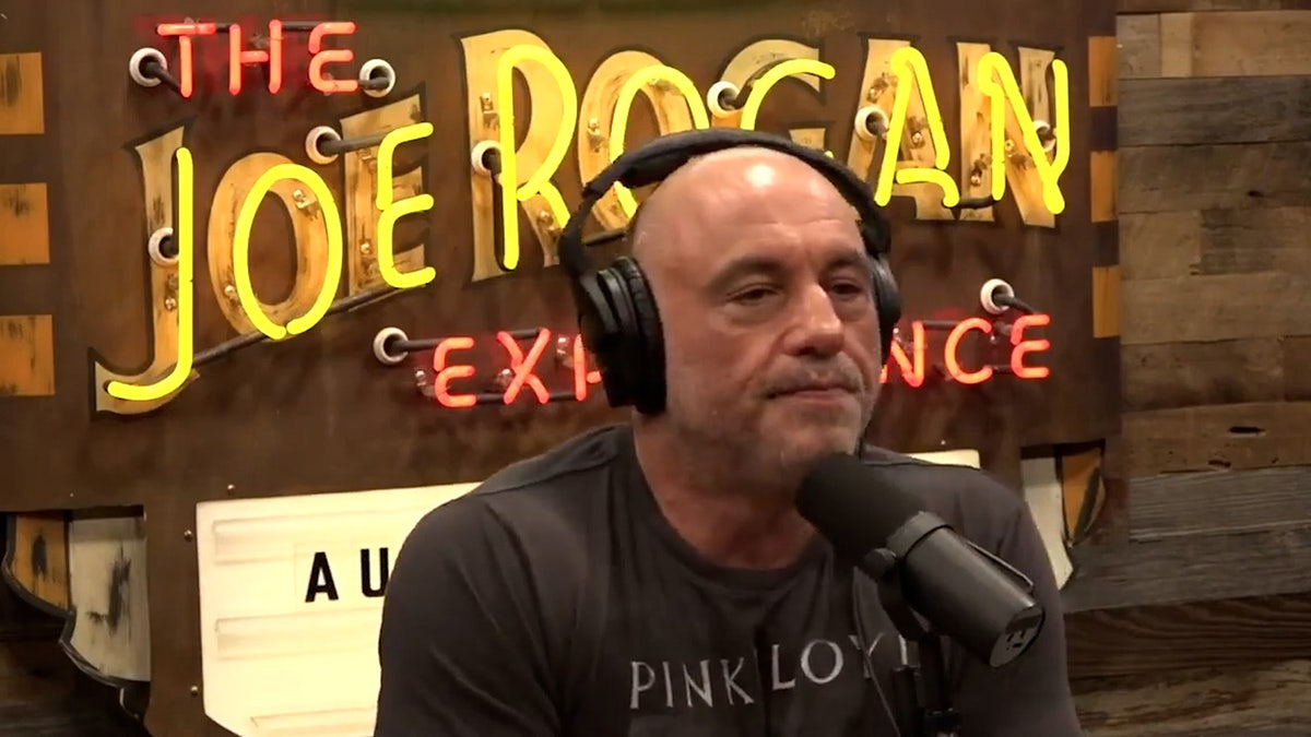 Joe Rogan speaks into the microphone