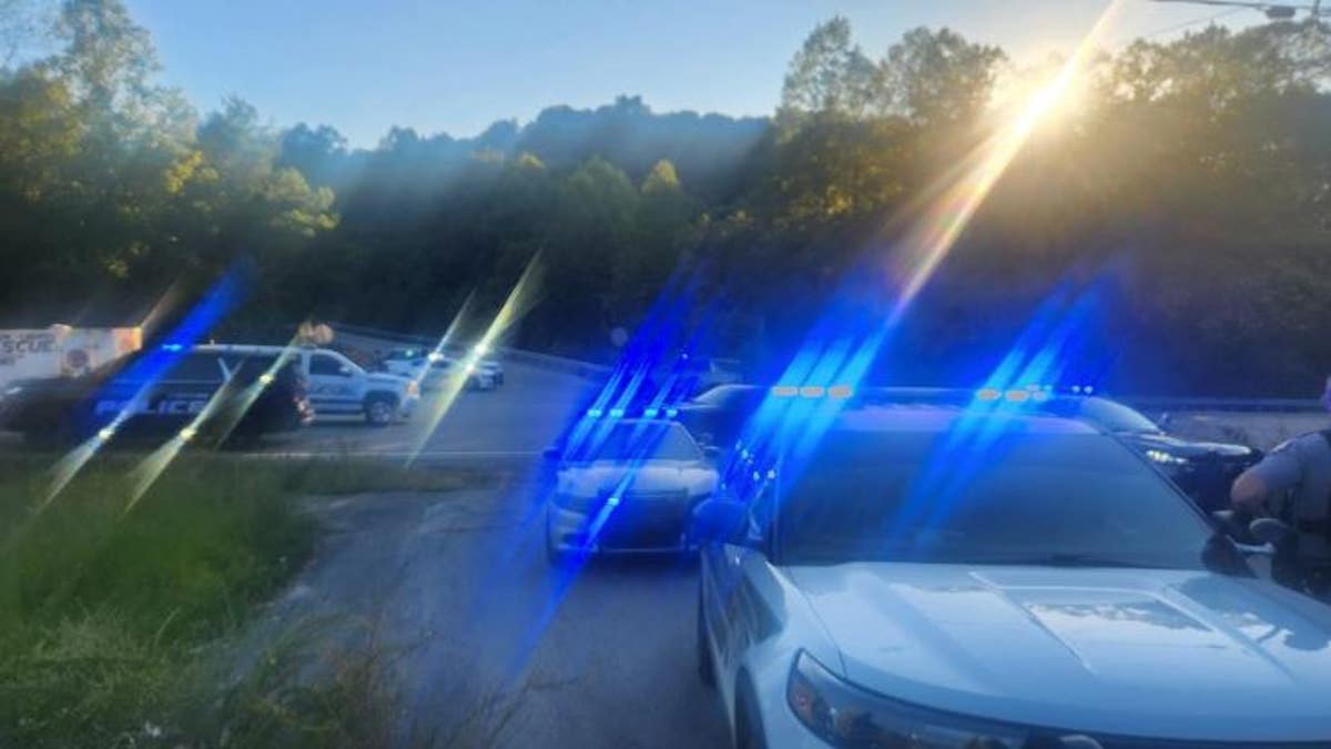 police cars on site