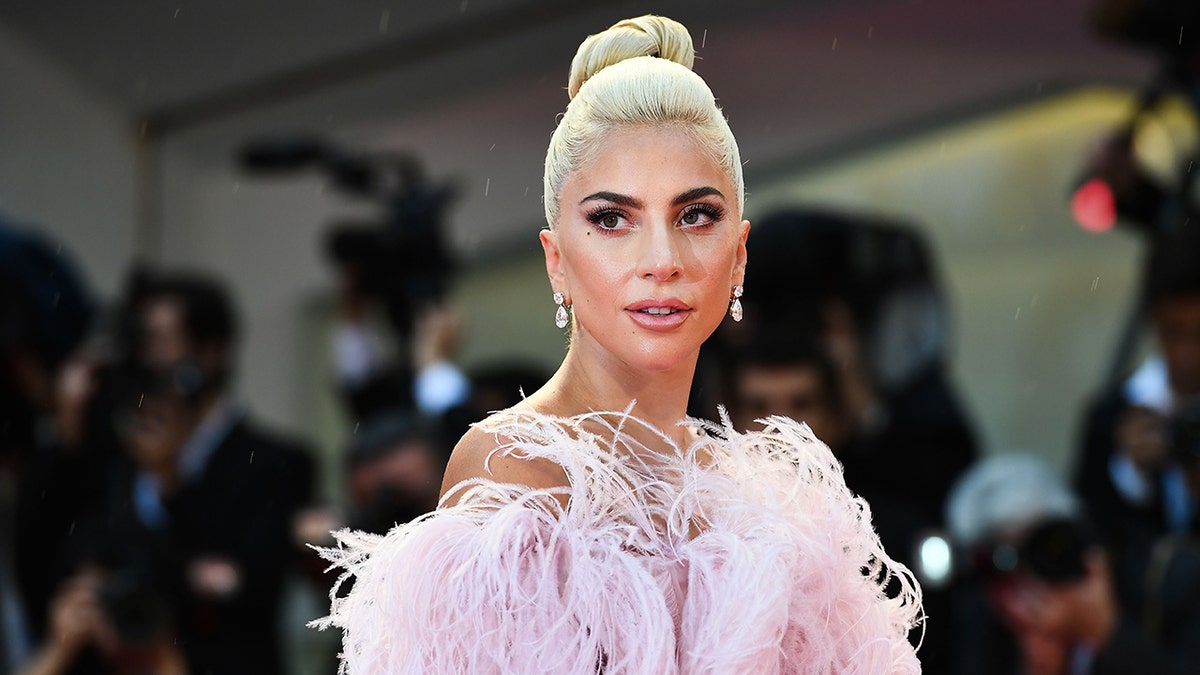 Lady Gaga looks up and away from the camera in Venice wearing a purple feathery outfit with a top bun