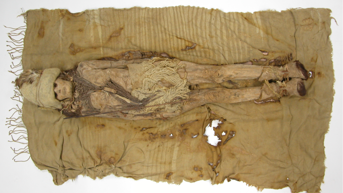 Cheese found out within coffin with historic mummies dates again 1000’s of years