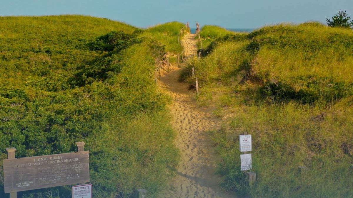 En verano, Nantucket acoge a decenas de miles de visitantes que poseen o alquilan casas de vacaciones.