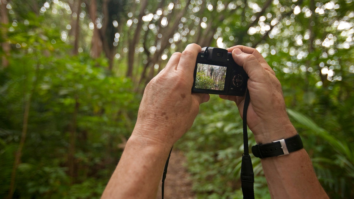 A person taking a picture in a national park