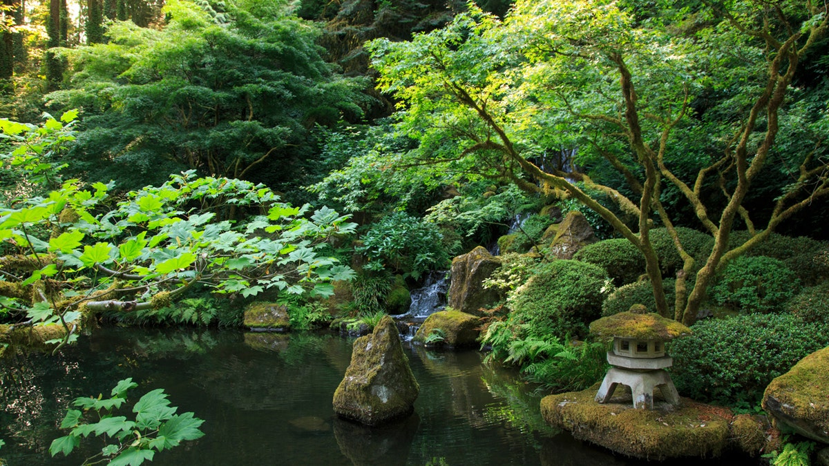 Jardín Japonés de Portland