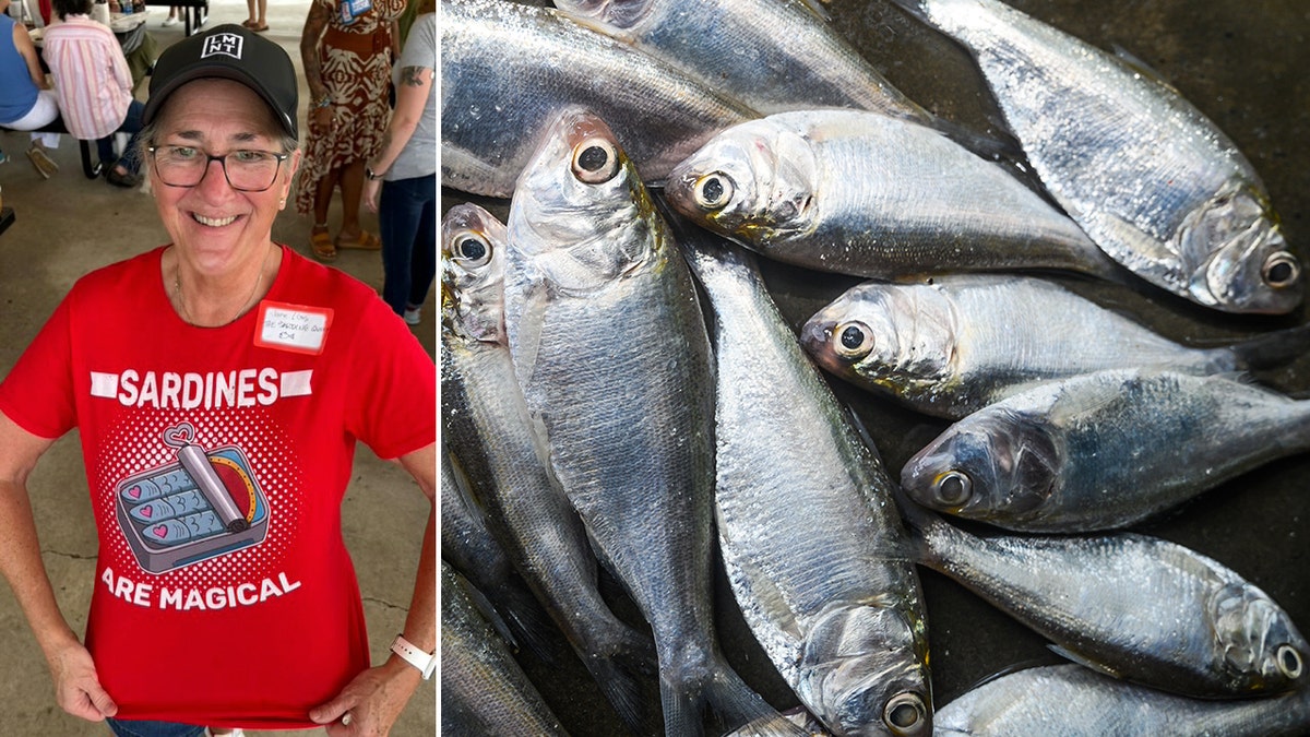 Woman wearing "sardines are magical" shirt split with a picture of sardines.