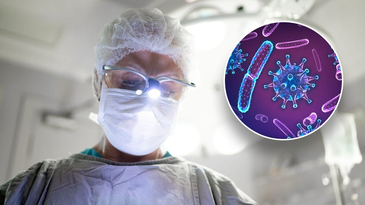 Surgeon bacteria