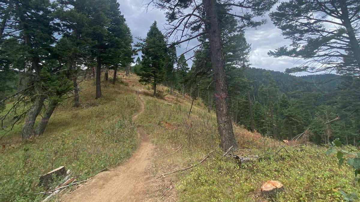 Bosque Nacional Custer Gallatin