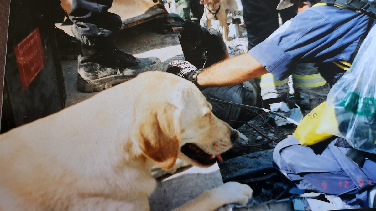 Perro del Grupo Operativo Uno de Willow, Pensilvania