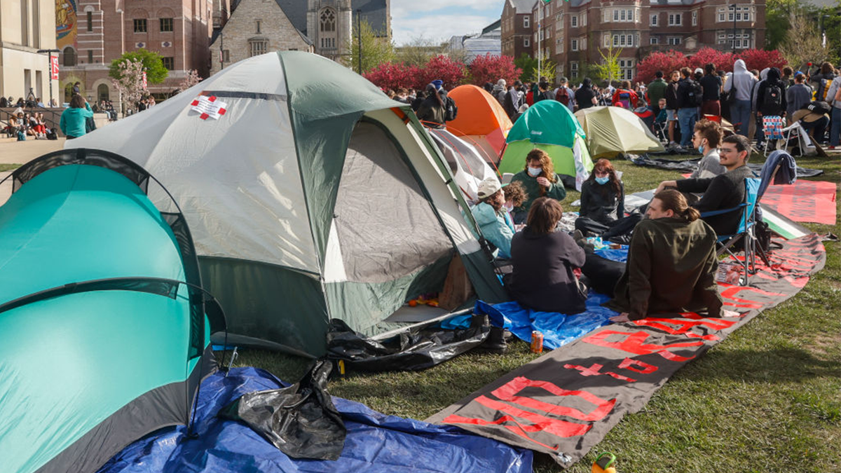 Manifestantes en la Universidad de Wisconsin