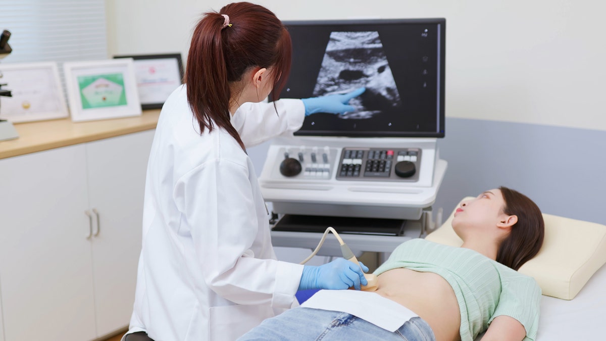 A pistillate   getting an ultrasound