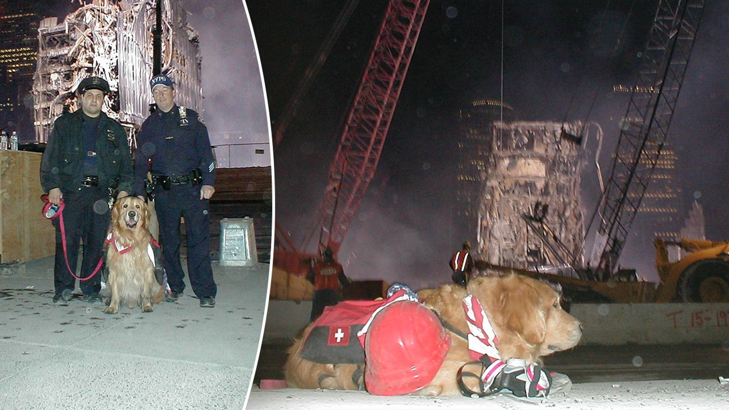 The Unforgettable Bond: How a Blind Man and His Guide Dog Escaped the Twin Towers on 9/11