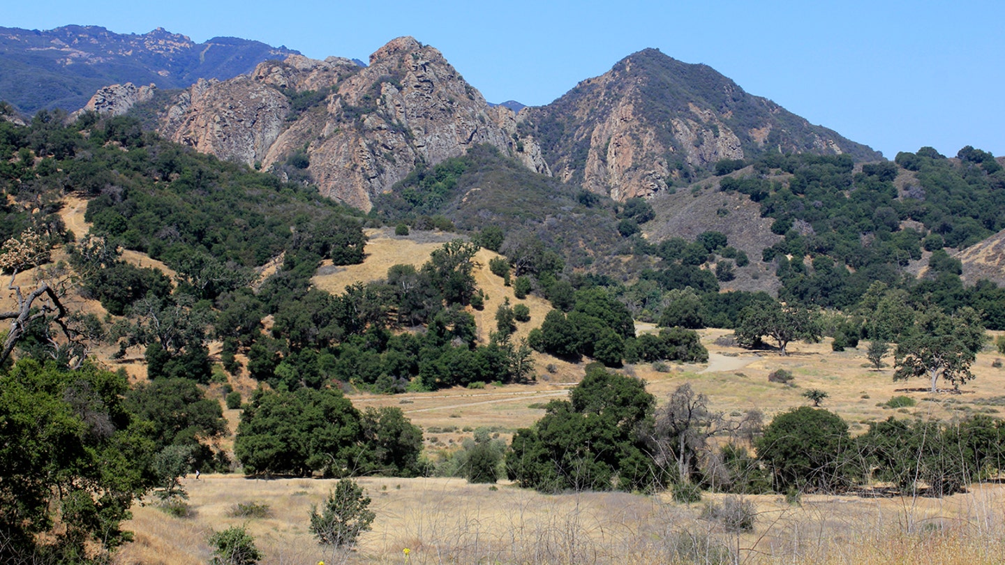 Mountain Lion Attack in Southern California Leaves Boy Seriously Injured