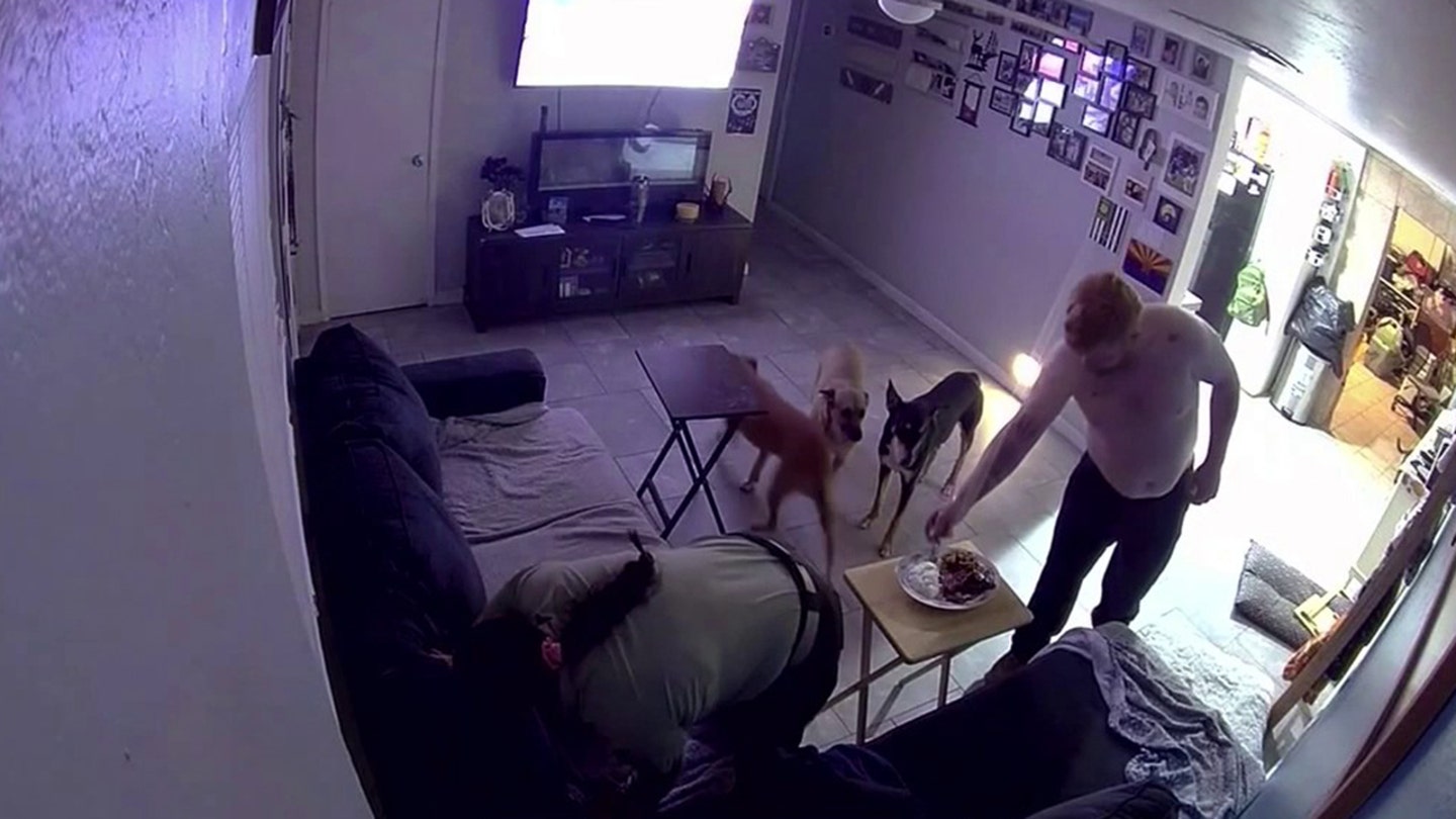 Phoenix Couple and Dogs Miraculously Escape Injury After Car Crashes into Living Room