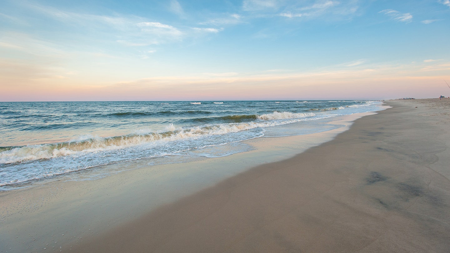 Shark Encounter: Waters Off Queens Beach Temporarily Closed