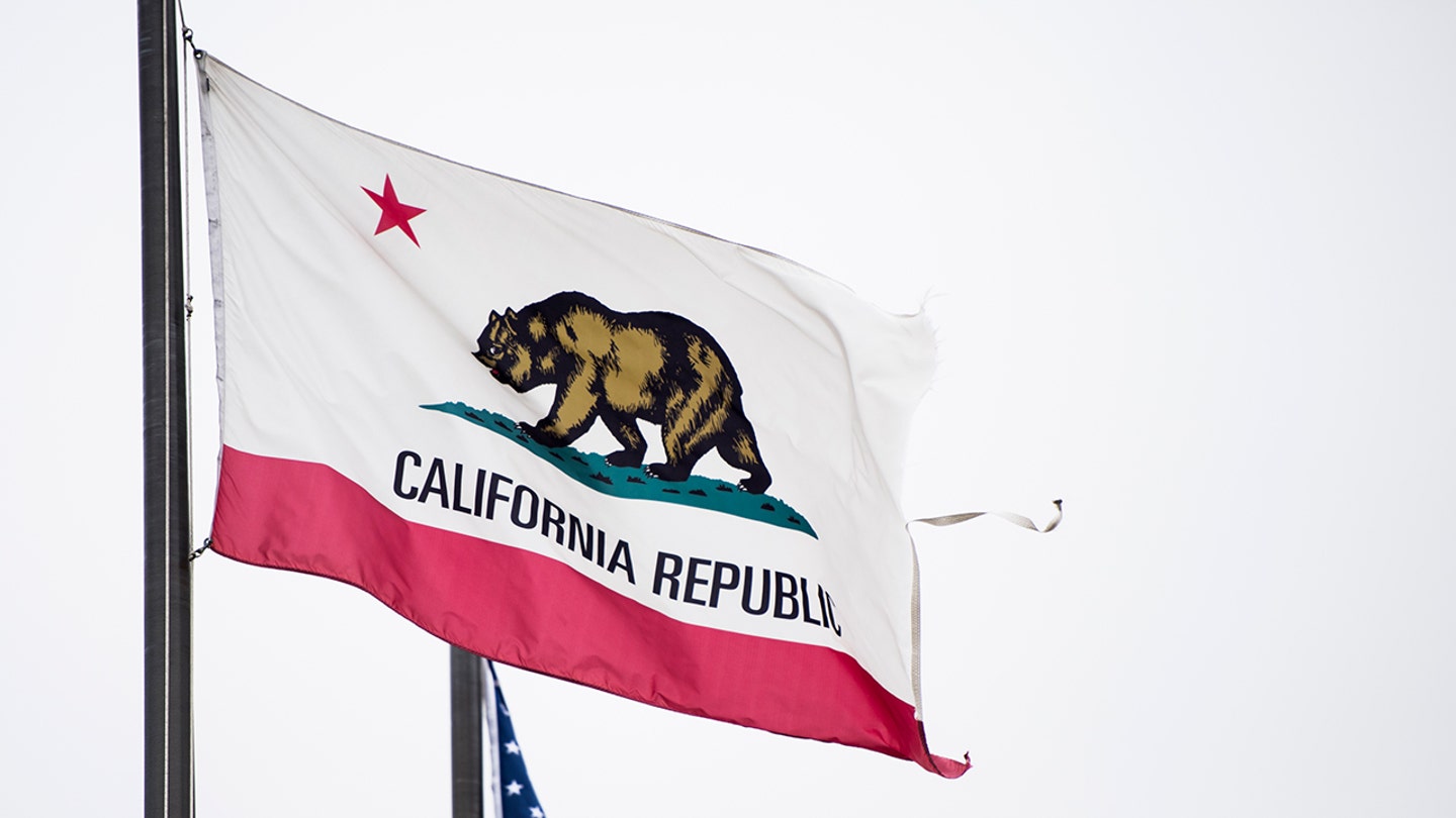 California's Declining State: A Bipartisan Failure