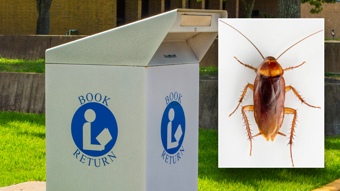 Bugs Invade Michigan Library, Prompting Temporary Closure