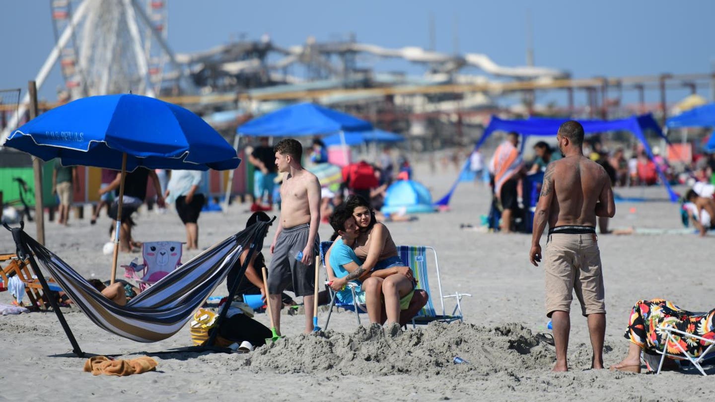 Sea Lions Take Over Monterey Beach, Forcing Closure