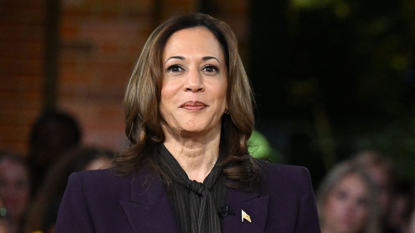 Kamala Harris' Popularity Takes a Hit in Key Swing States