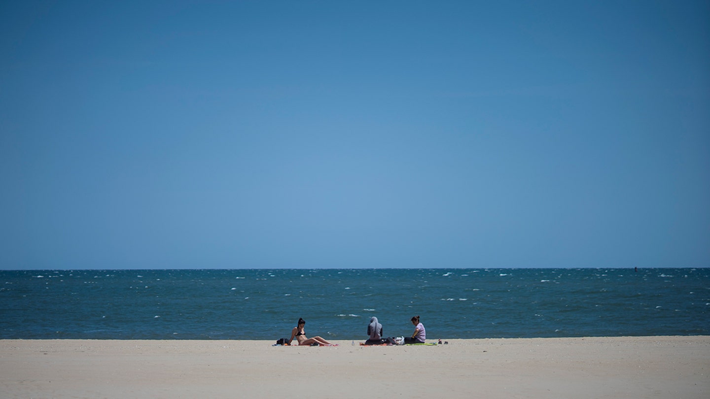 Shark Encounter: Waters Off Queens Beach Temporarily Closed