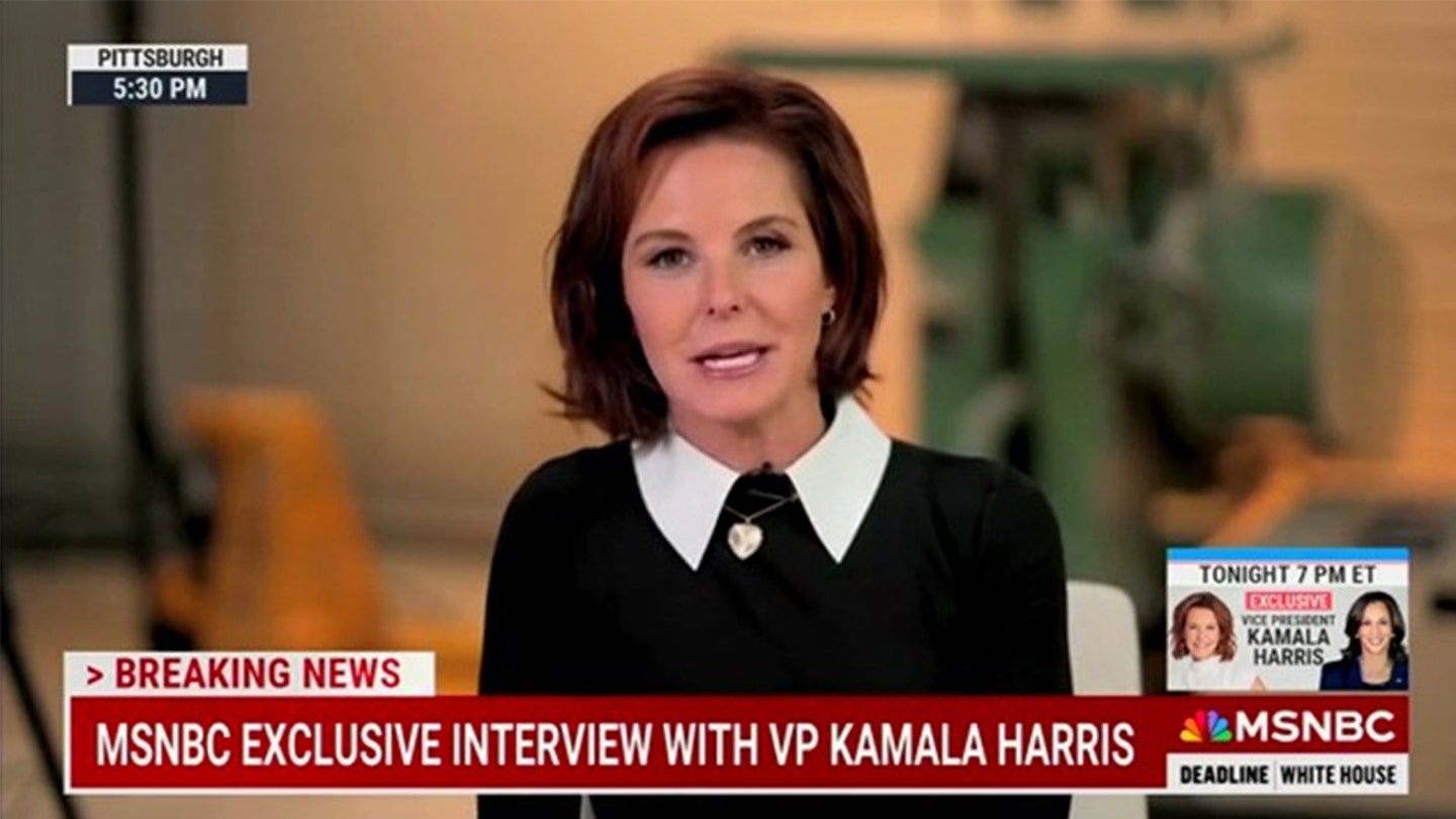 Stephanie Ruhle Calls Out Kamala Harris' Lack of Answers on Tax Hike Plans